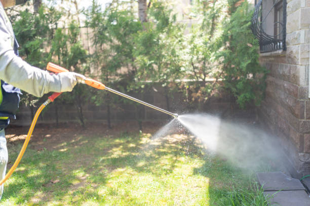 Trusted Morganton, NC Pest Control Experts